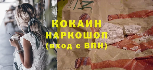 Альфа ПВП Каменка