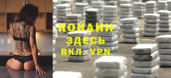 Альфа ПВП Каменка