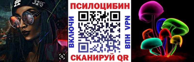 Купить где  Карабулак  Псилоцибиновые грибы Psilocybine cubensis 